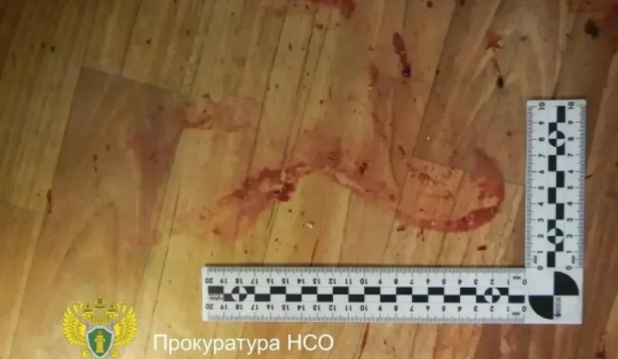 Житель НСО убил отца жертвы после выхода из колонии