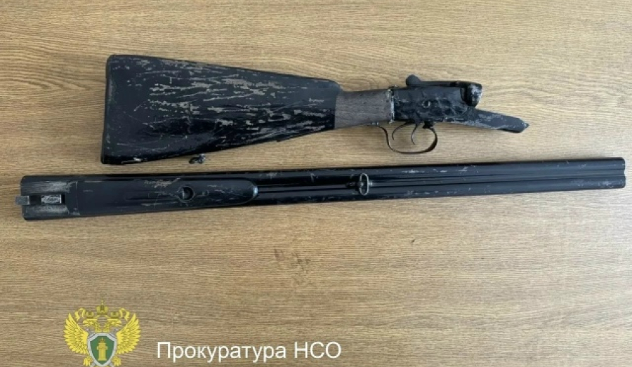 Новосибирца будут судить за незаконную продажу ружья