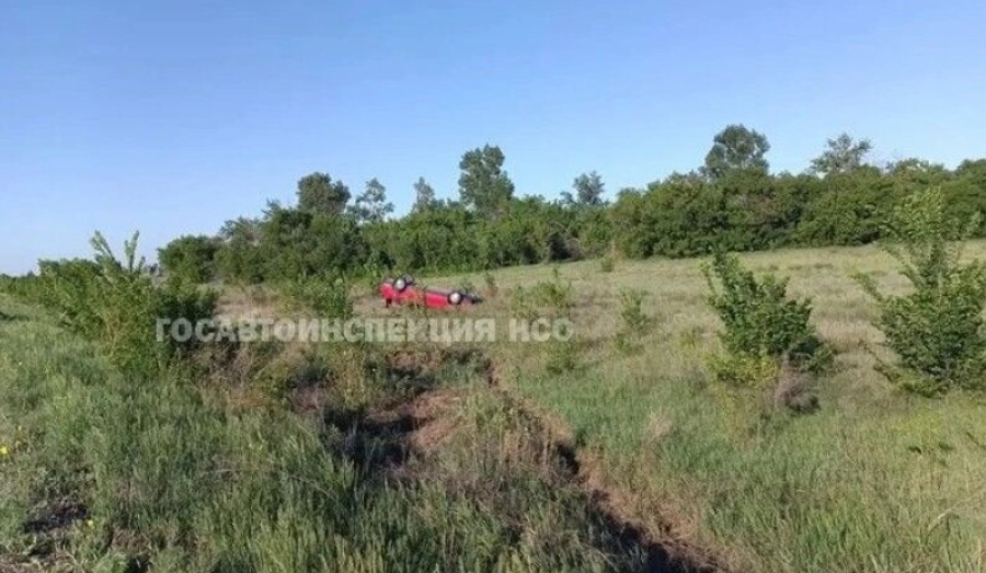 Трагедия в НСО: водитель уснул за рулём, погибла девочка