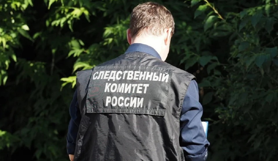 В Новосибирске пенсионеры задушили сына-алкоголика