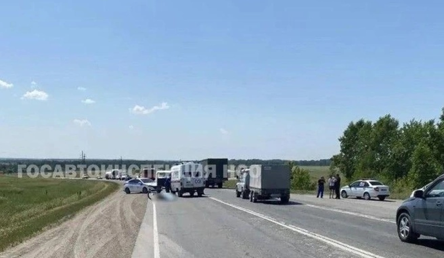 МАЗ сбил велосипедиста под Новосибирском