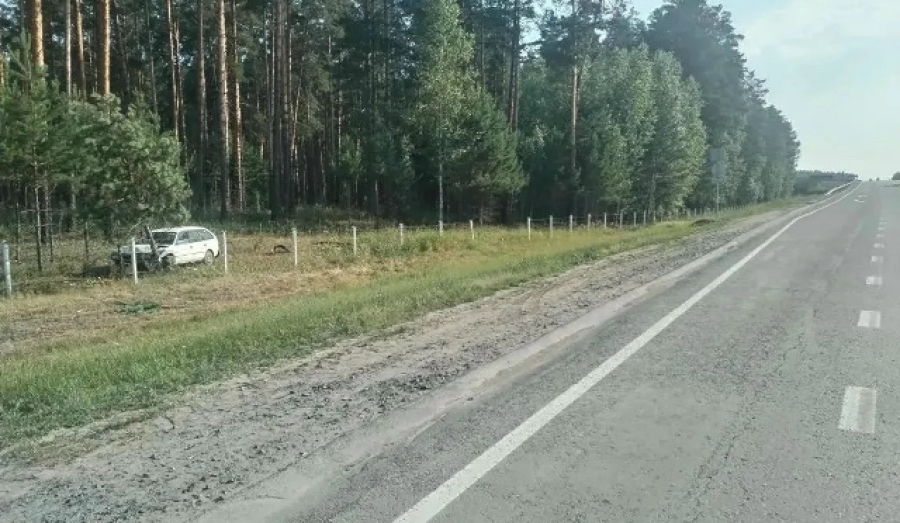 Водитель Toyota погиб после столкновения с деревом