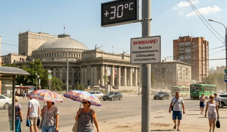 Жара до +30 градусов продержится в Новосибирске до 5 июля