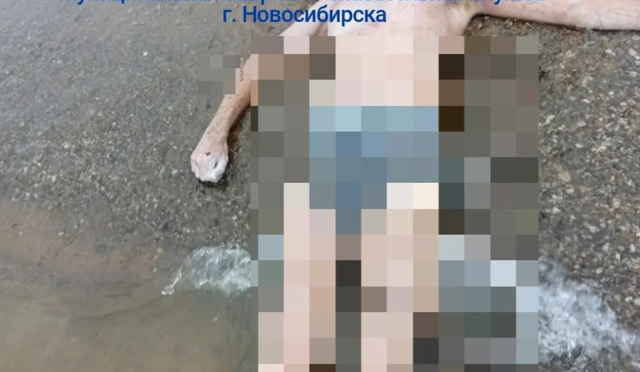 На Новосибирском водохранилище нашли тело пропавшего мужчины
