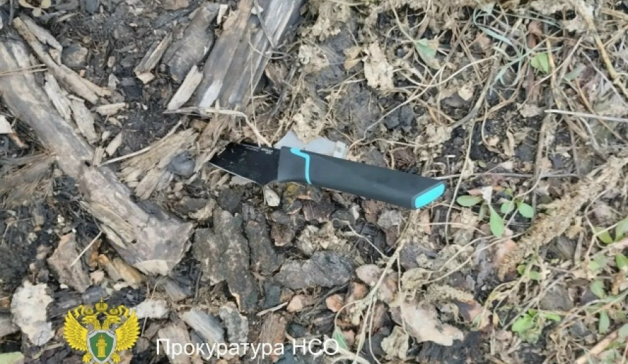 Жительница Новосибирской области осуждена за убийство сожителя