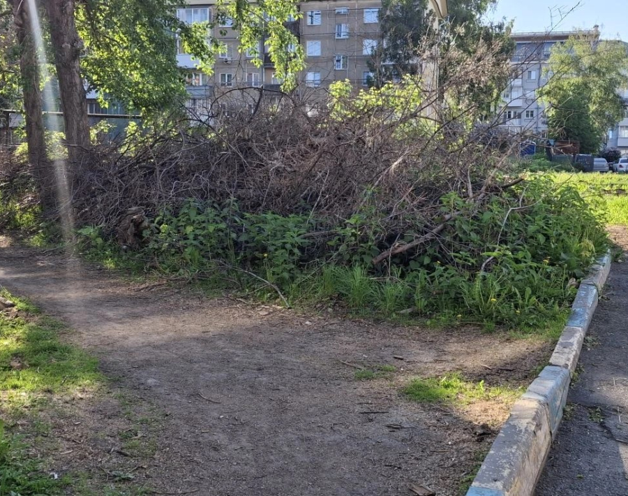 Не убирают спиленные деревья в течение года