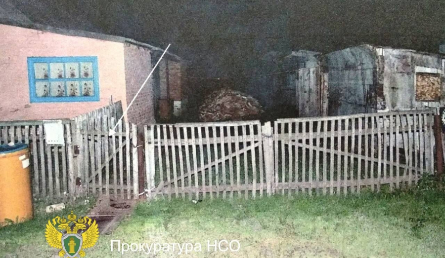 В Новосибирской области женщина во время пьянки зарезала мужа