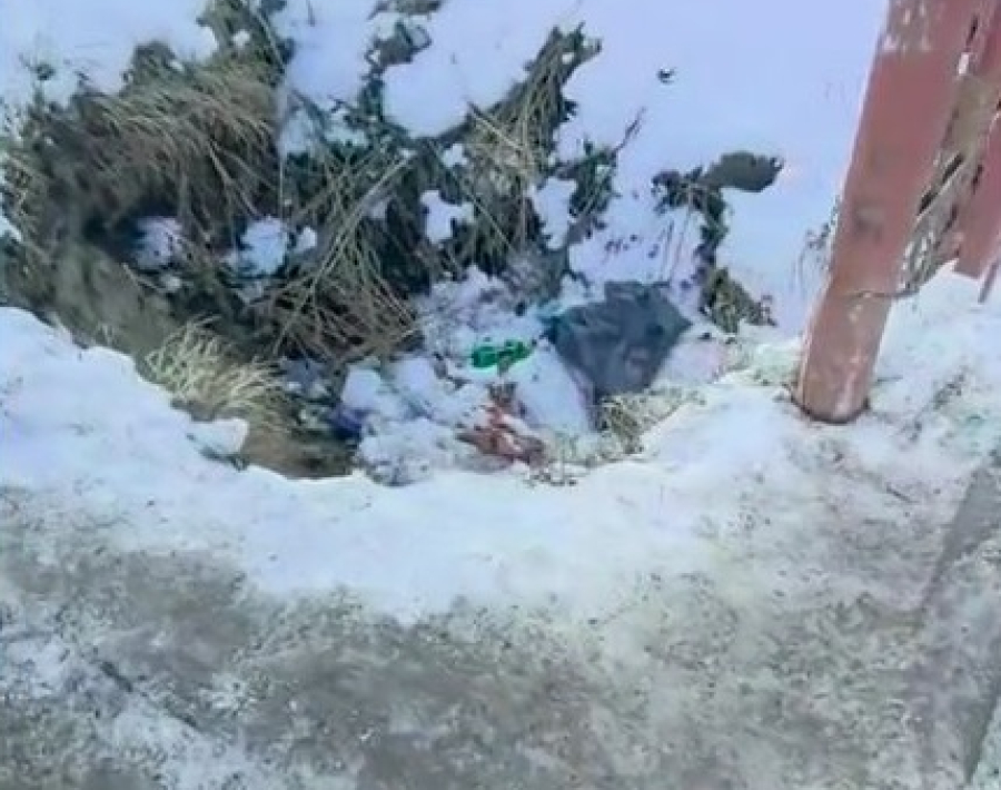 Отсутствие ограждения ямы у входа на территорию поликлиники №18