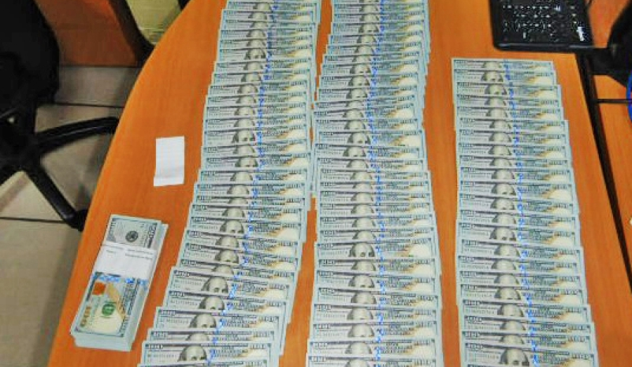 Пёс по кличке Кодилак учуял 20 тысяч $