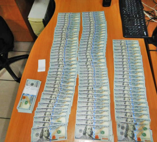 Пёс по кличке Кодилак учуял 20 тысяч $