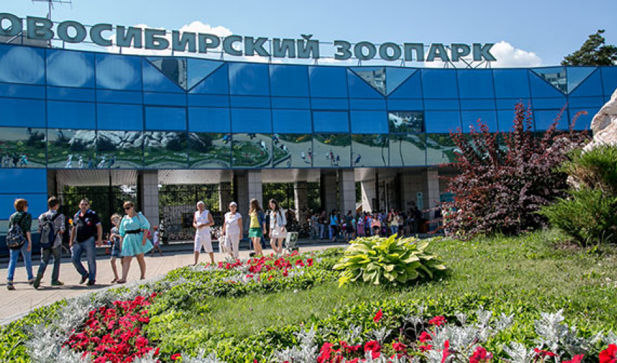 Зоопарк Новосибирска
