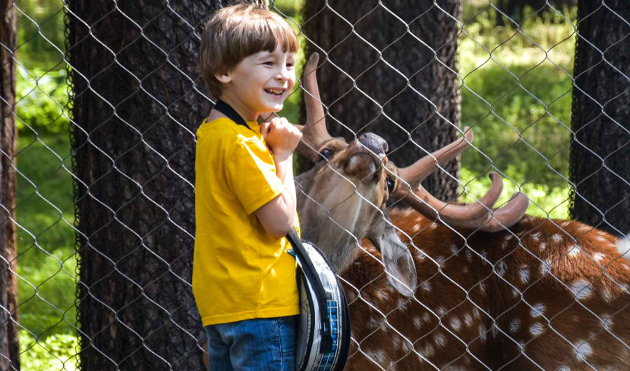 Зоопарк Новосибирска