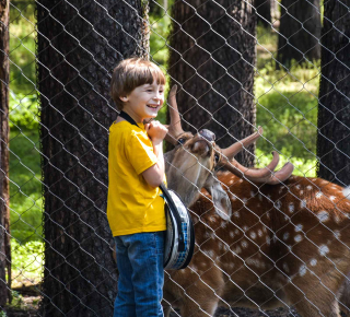 Зоопарк Новосибирска