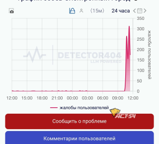 Масштабный сбой в «Электронном городе»