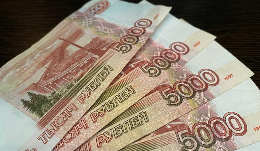 Зарплату для родителей могут ввести в Новосибирской области