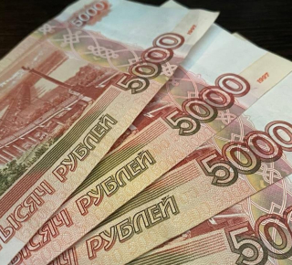 Зарплату для родителей могут ввести в Новосибирской области