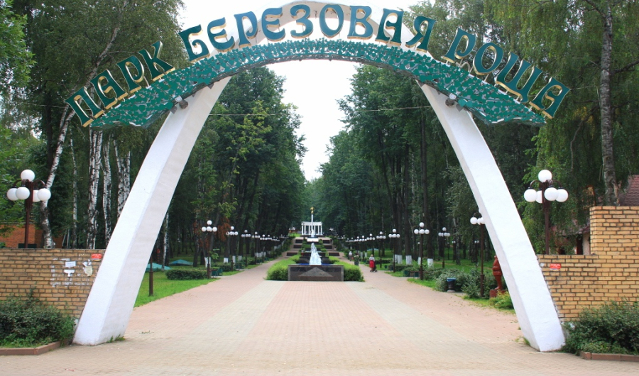 Парк берёзовая роща 