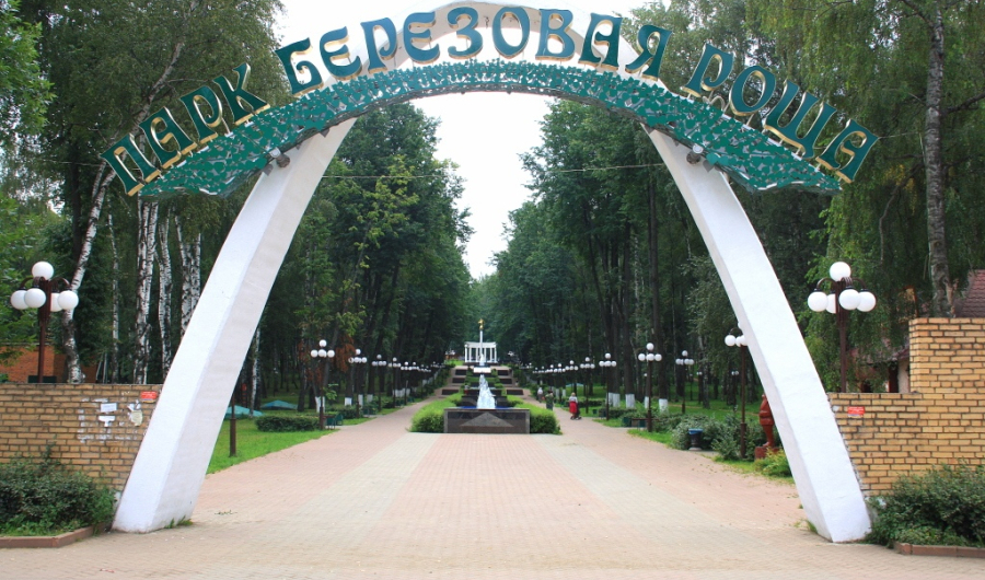 Парк берёзовая роща 