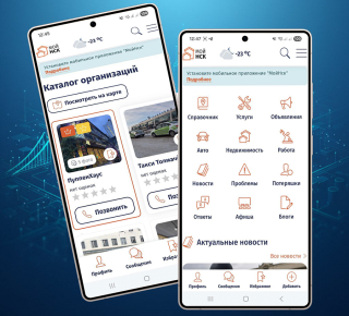 Мобильное приложение МойНск