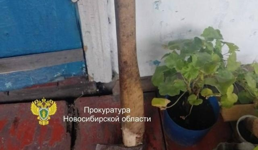 Новосибирец угрожал знакомому зарубить его топором