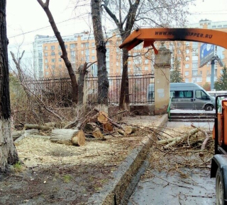 Город облысеет и превратится в трущобы