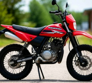 Пьяная езда на питбайке: год колонии для новосибирца