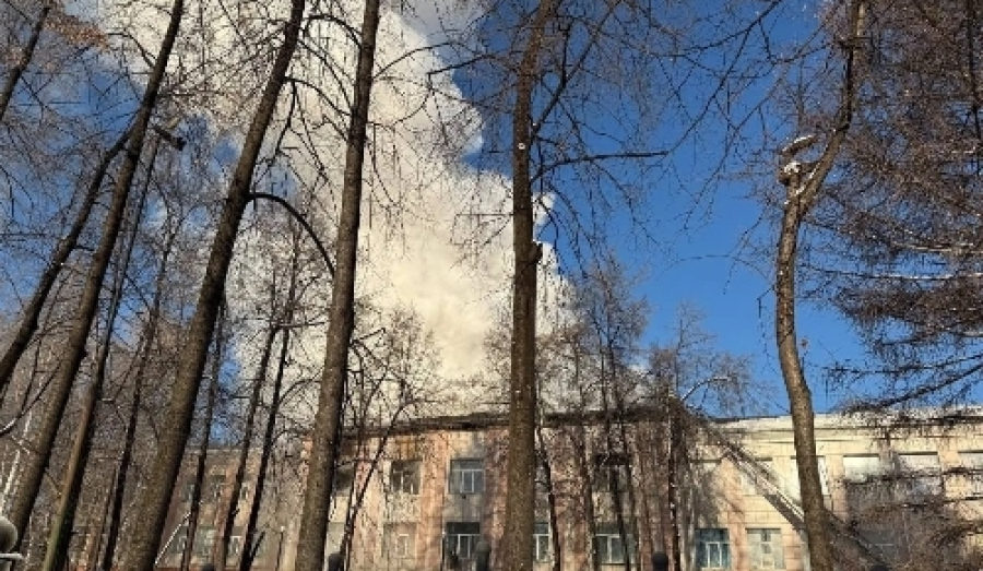 В Новосибирске студенты загоревшегося педагогического колледжа имени Макаренко выйдут на учебу 12 января 2026 года