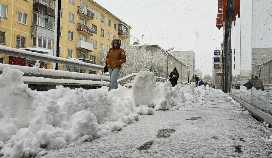 Нейросеть выходит на борьбу с зимней стихией в Новосибирске