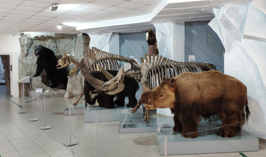 Музей природы