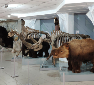 Музей природы