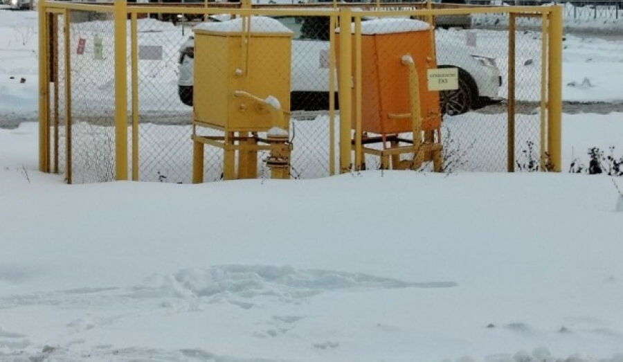 Жители Новосибирска жалуются Путину на дефицит газа, надеясь на решение проблемы